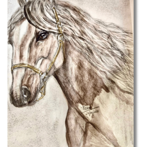 "Chance the Horse" <br>20.34 x 25.5cm<br>Acrilico sobre lienzo