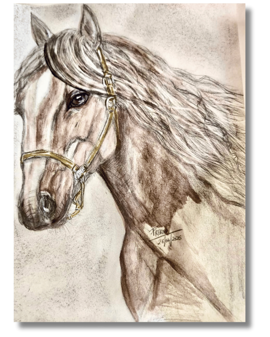 "Chance the Horse" <br>20.34 x 25.5cm<br>Acrilico sobre lienzo